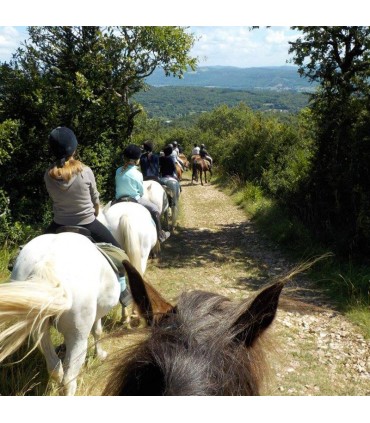 Promenades balades équestres Promenades balades équestres