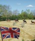 Séjour anglais et équitation