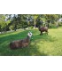 Colo des animaux avec hébergement pour les 6/11 ans