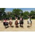 Séjour équitation loisirs et nature avec hébergement pour les 6/11 ans - 7 ou 14 jours