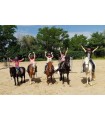 Séjour équitation loisirs et nature avec hébergement pour les 6/11 ans - 7 ou 14 jours