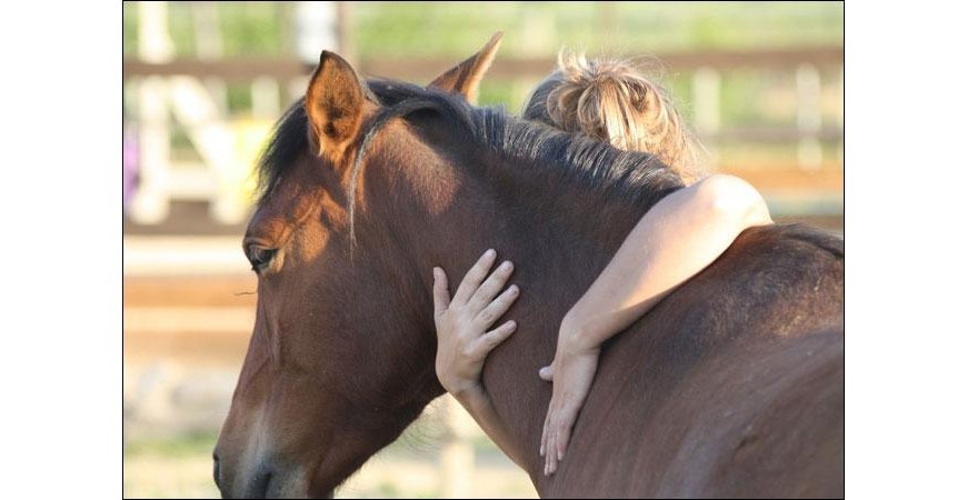 L’équitation, un loisir des plus bénéfiques ! 